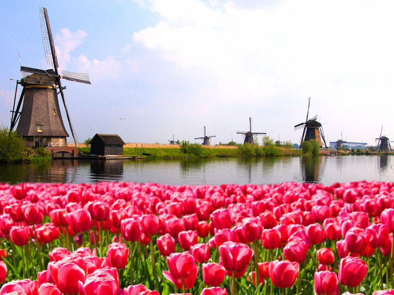 HOLANDA